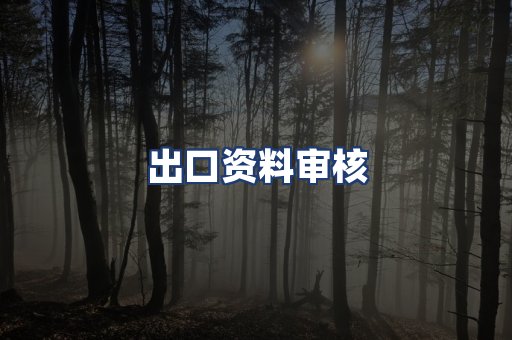 出口资料审核