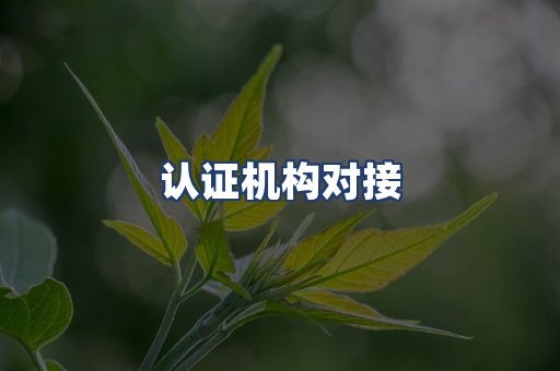 认证机构对接